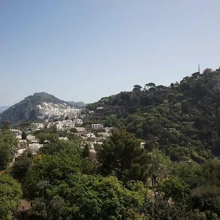 Capaianca * Capri